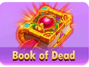Book Of Dead game icon